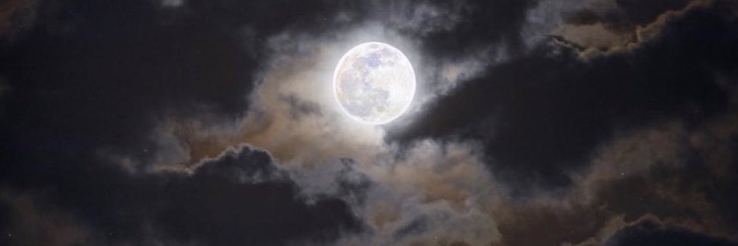 Mon's banner