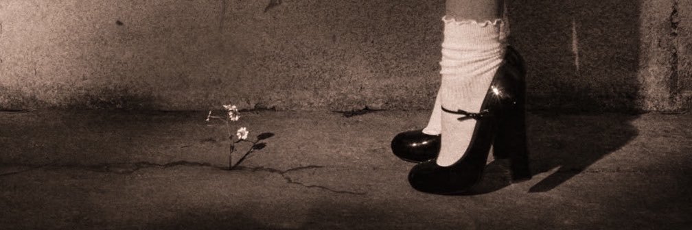 biann⋆˙⟡'s banner