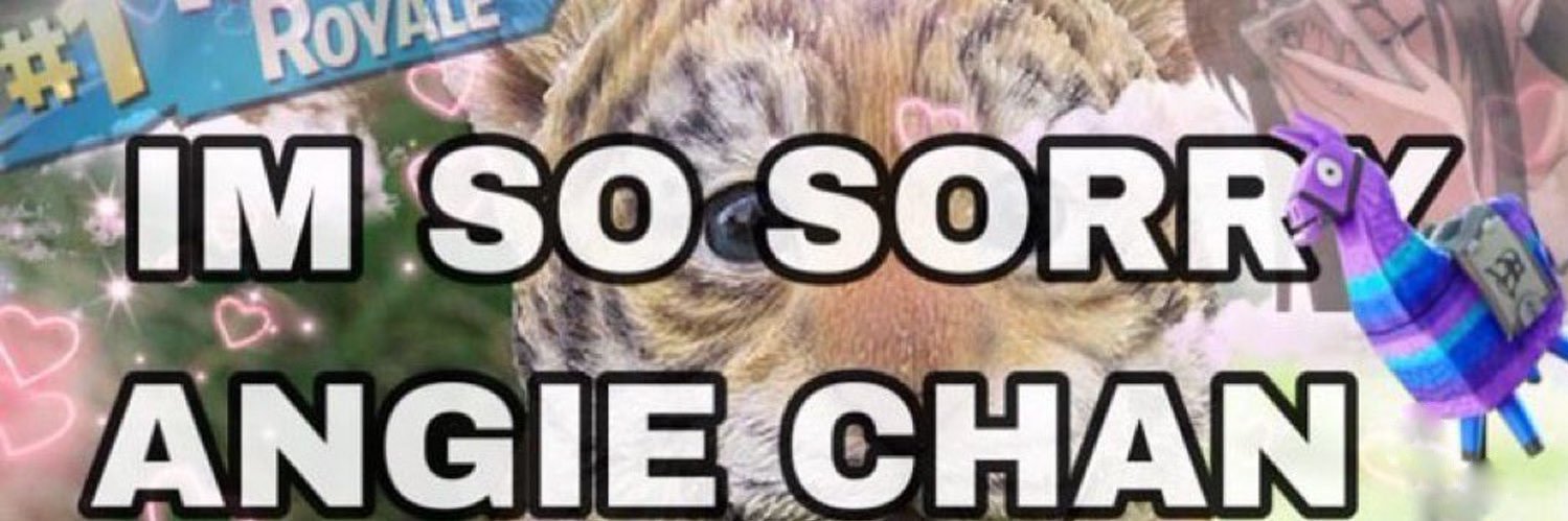 angie's banner