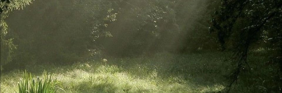 by's banner