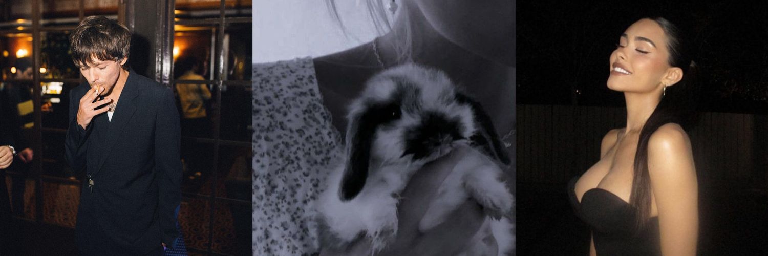 mills 🐇 𑣿's banner