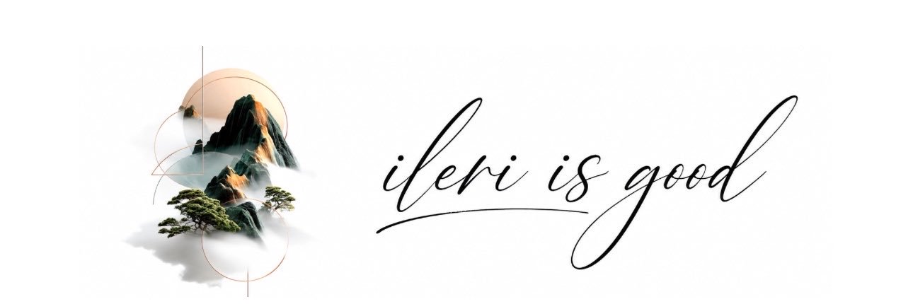 ileri 𖣂's banner