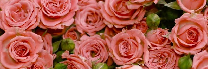 Gentle Femdom Ita's banner