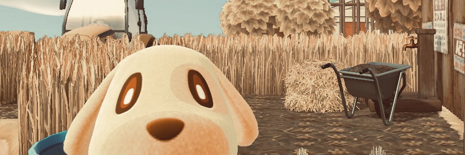 𝚋𝚊𝚗𝚒.𝚘's banner