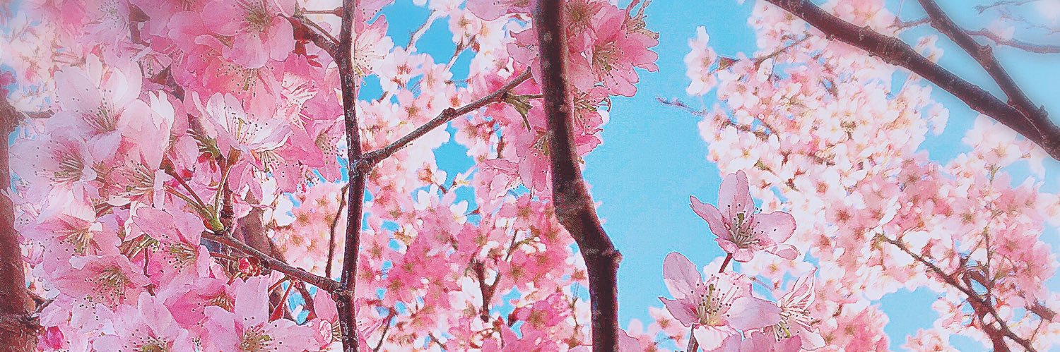 雨_森︎︎*☂︎*̣̩⋆̩/原稿's banner