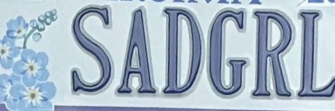 sadgrl ᴖ̈'s banner