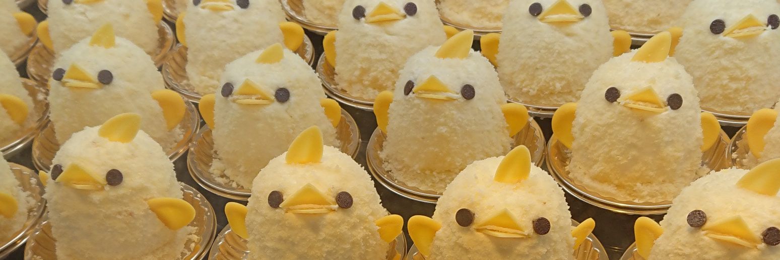 ぴよりん🐥ｵﾌﾞｼﾞｮｲﾄｲ's banner