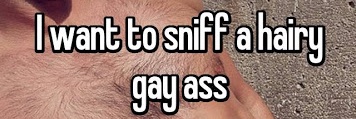 gay facesitting's banner