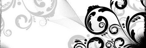 holly ۶ৎ ݁˖'s banner