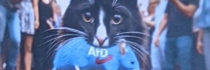 Master🌻of🌍Disaster😺Meow#NAFO's banner