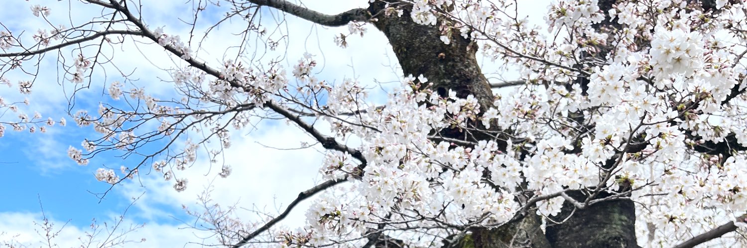 河村　ここあ's banner