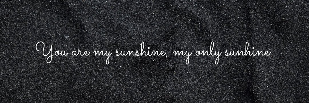 앤🌻| fan account's banner