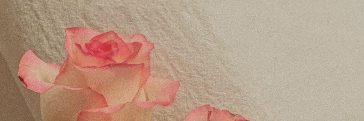 母畜洗脑收留所's banner