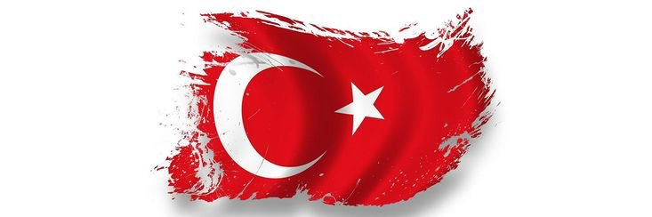 ALKIM's banner