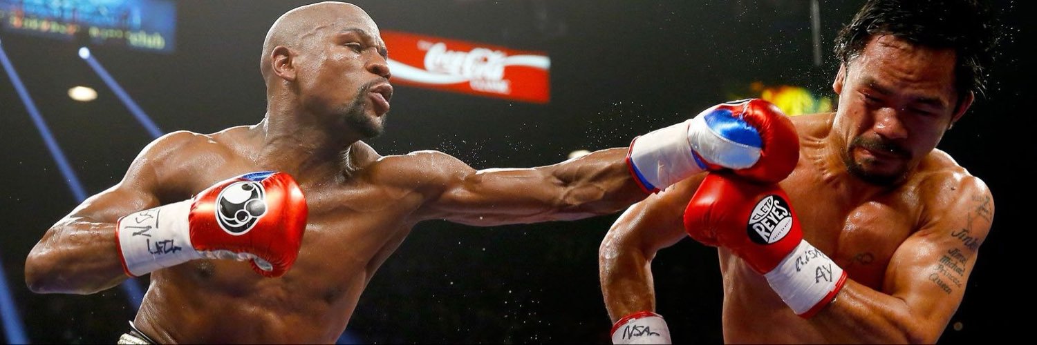 Knockout Hub🇬🇧🇺🇸's banner