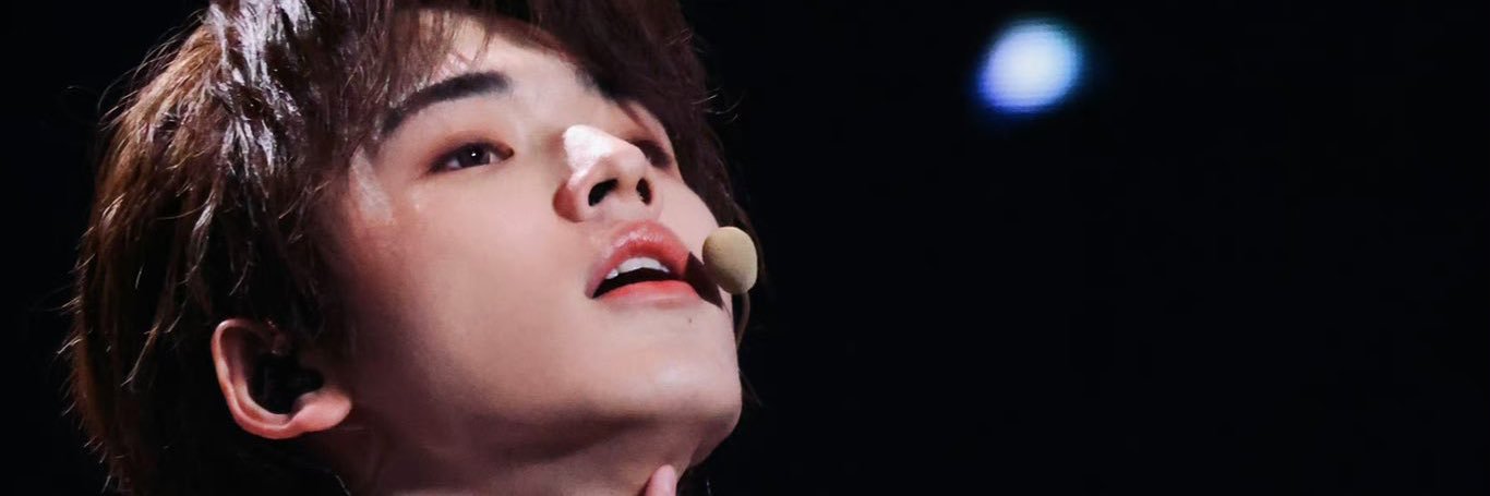 Nie's banner