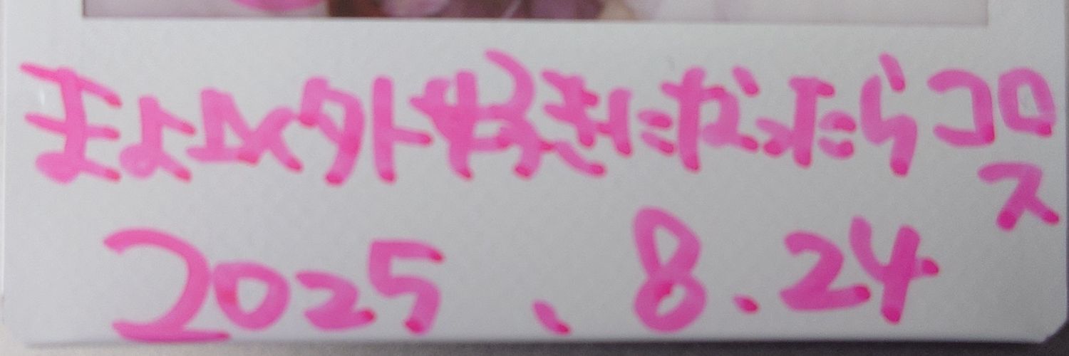 M@SA📷️'s banner
