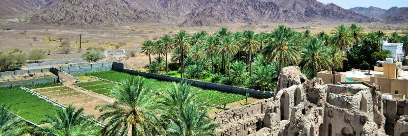 عمان وكفى 's banner