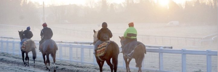 Max Racing Tips's banner