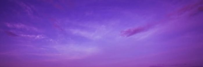 Dani ⚡️'s banner