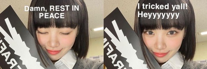 Hannah 愛してる's banner