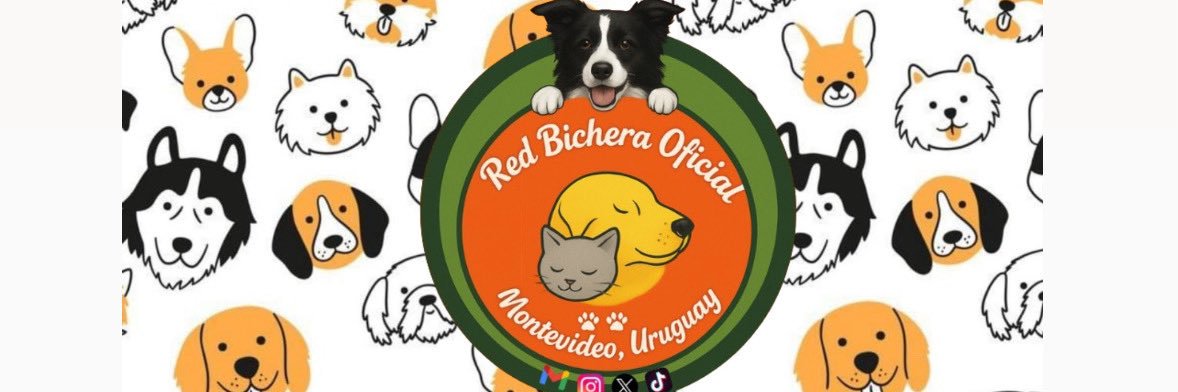 redbicheraoficialuruguay's banner