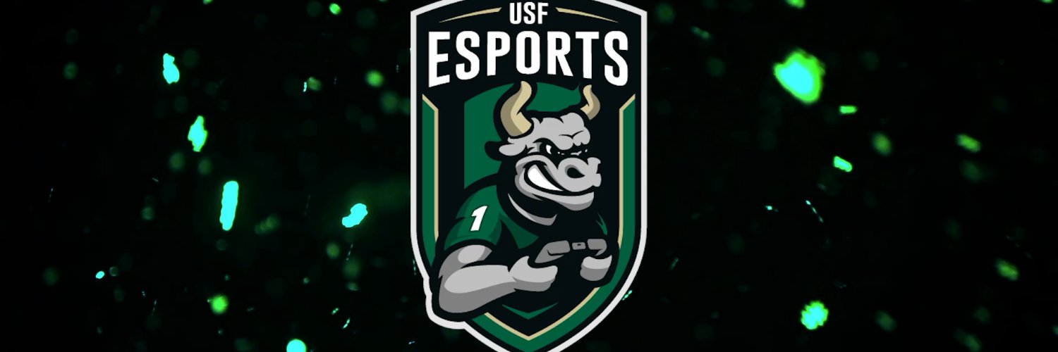 USF Esports's banner