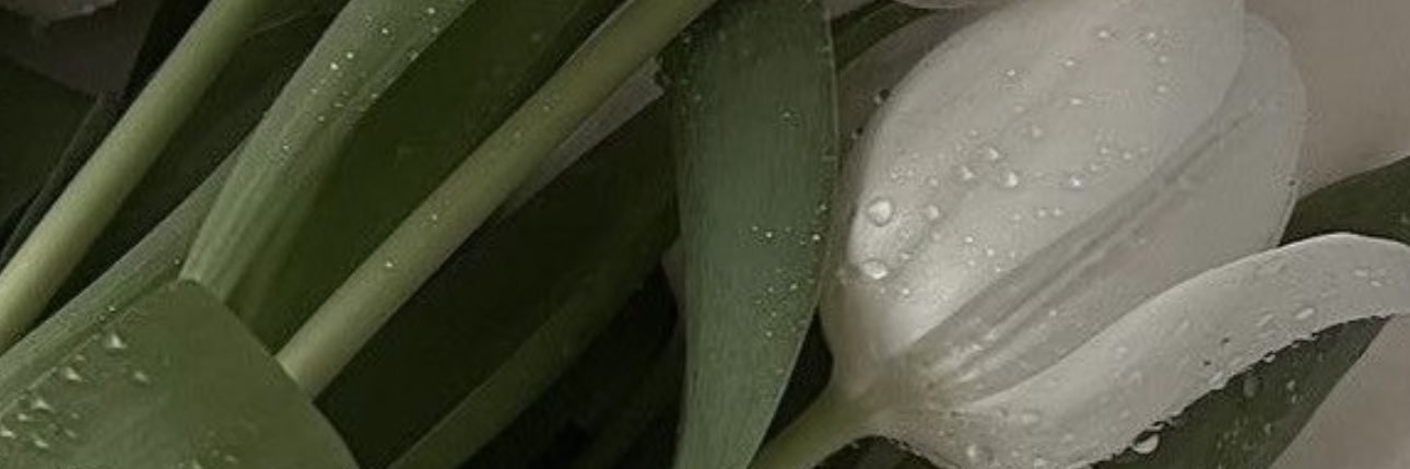 José Medina's banner