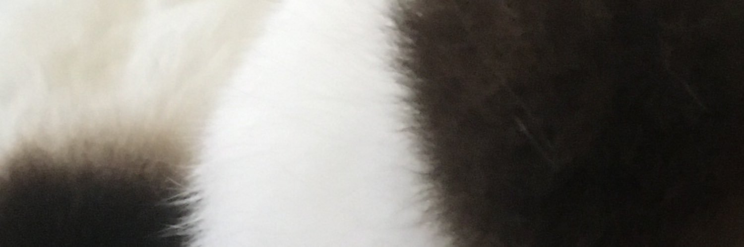 🐇うさぎに首ったけ ꪔ̤ 首ちゃん 🐇's banner