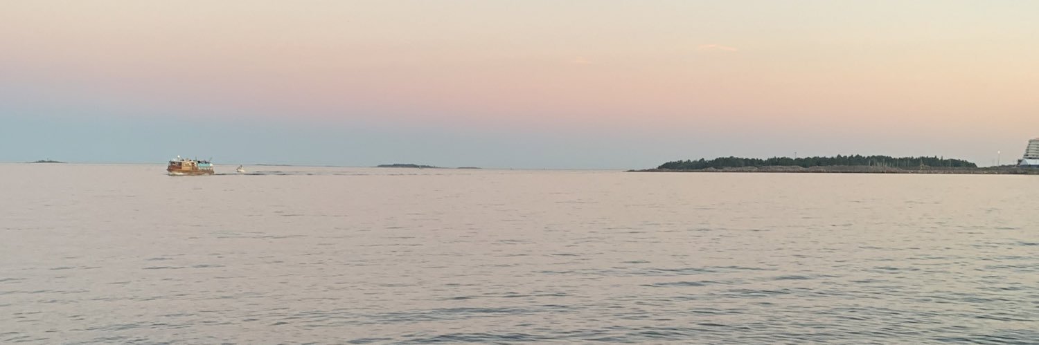 Sanni's banner