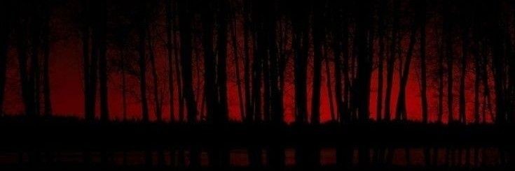 kiers 🥀 🦢's banner