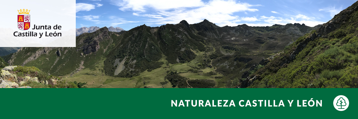 Naturaleza Castilla y León's banner