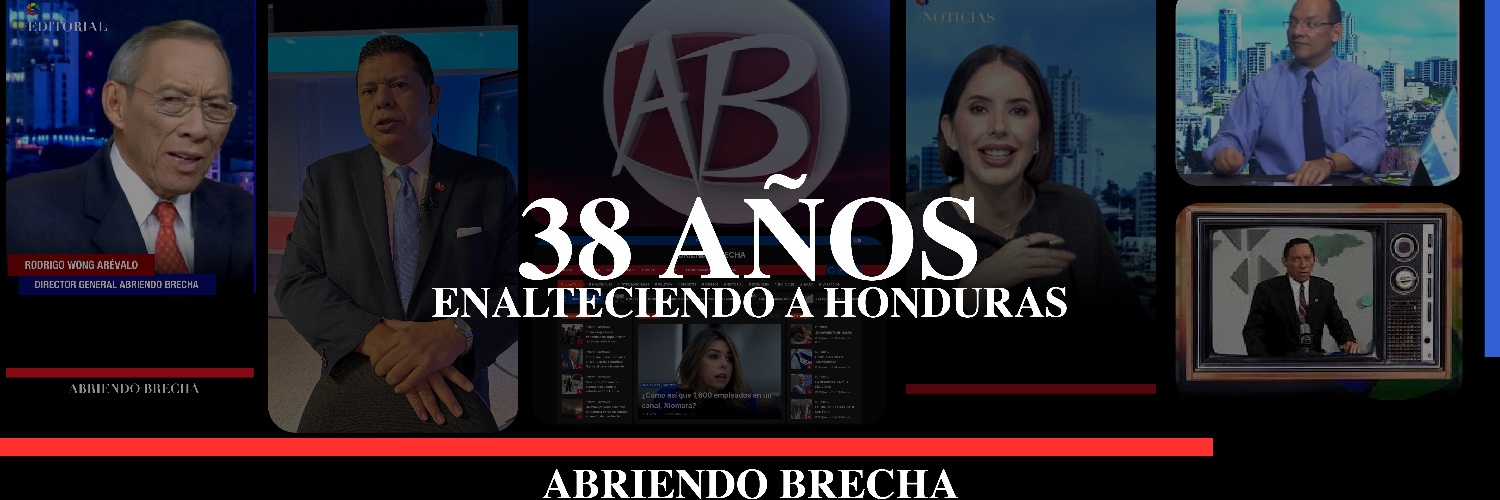 Abriendo Brecha's banner