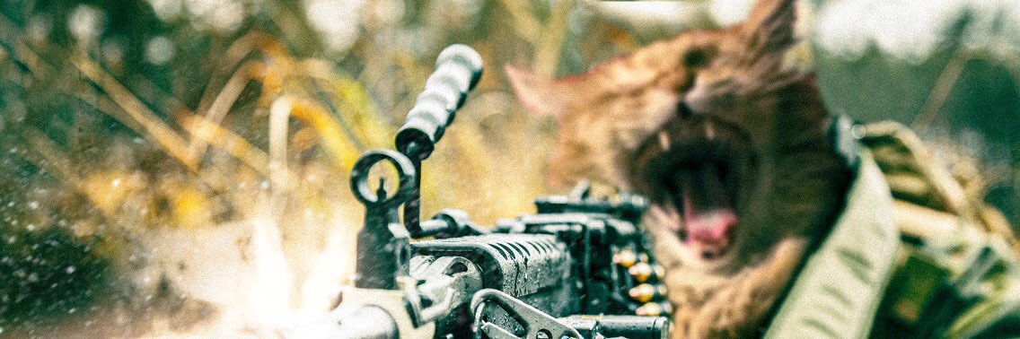 NevilleTheCat's banner