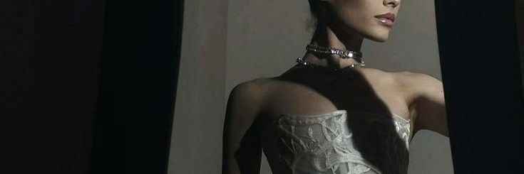 elly ⋆'s banner