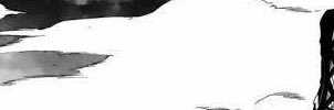 raru's banner