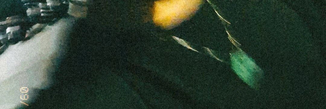呱斑馴's banner
