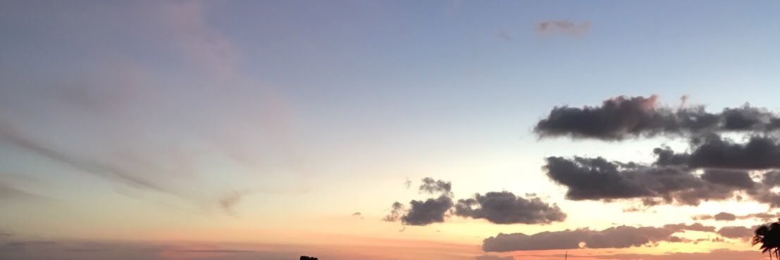 加藤さや香's banner
