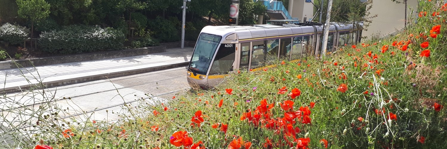 Luas's banner