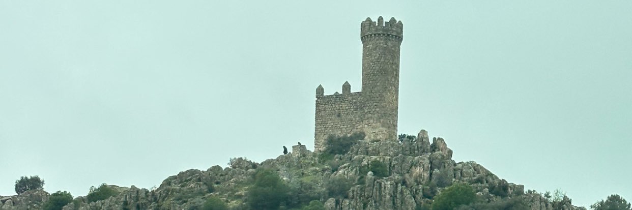 Ana's banner