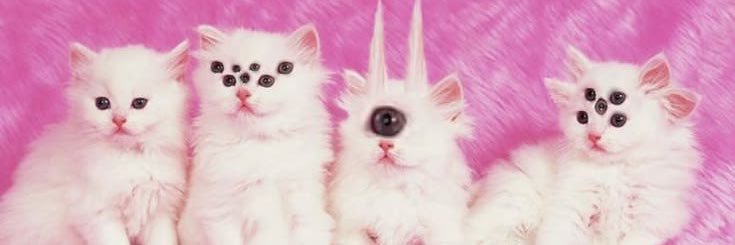 angelfart🪽's banner