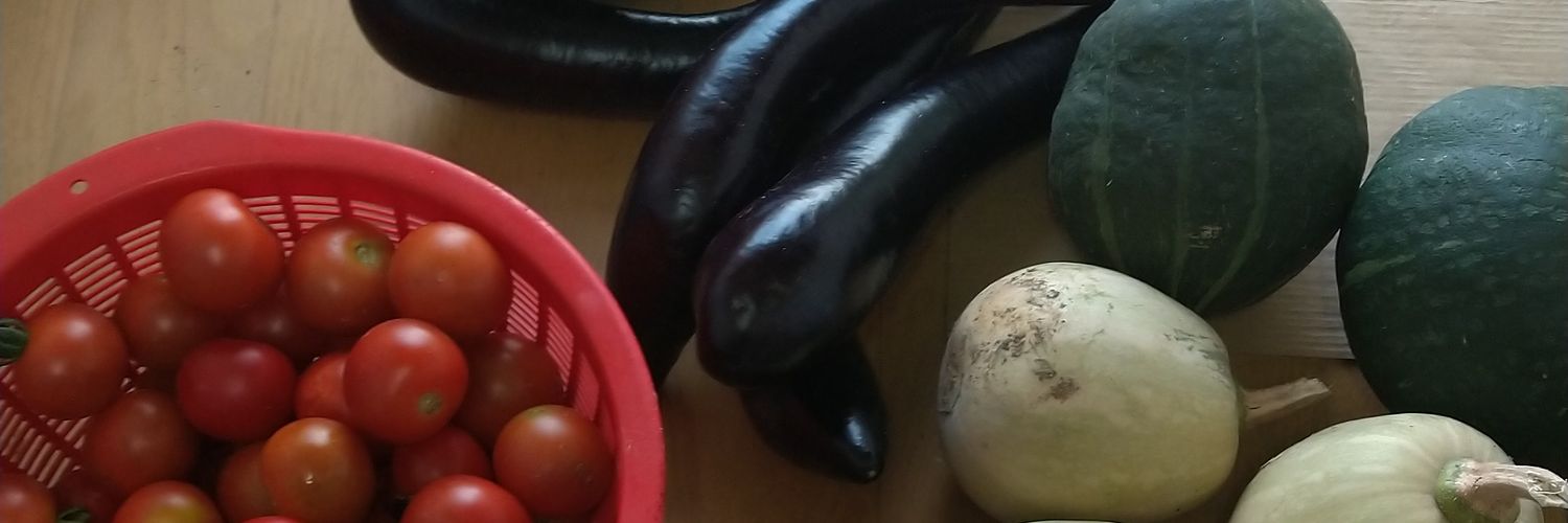 晴耕雨読のユニゾン's banner
