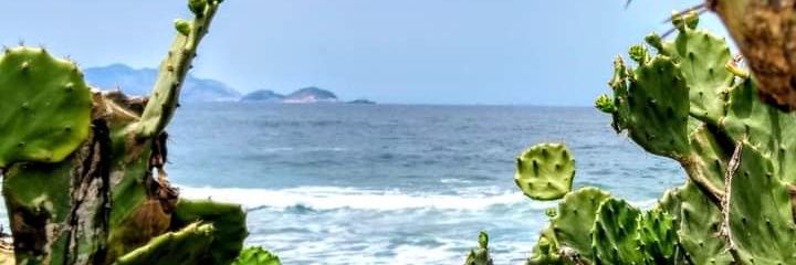 Maduro47's banner