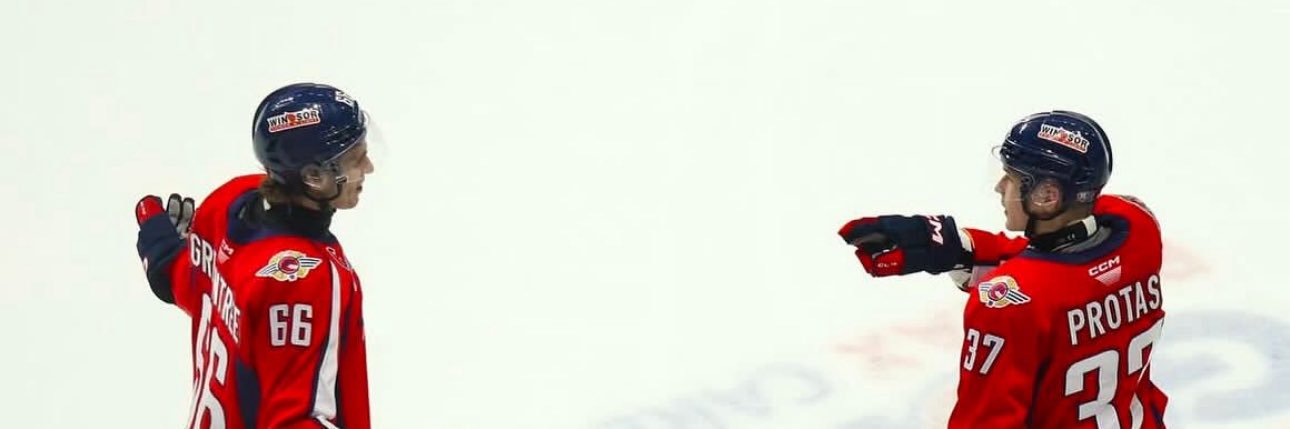ava's banner