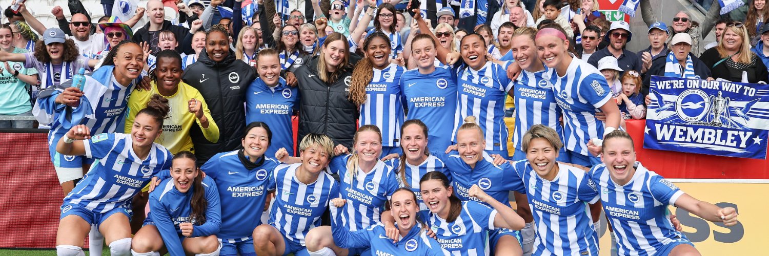 Brighton & Hove Albion Women's banner