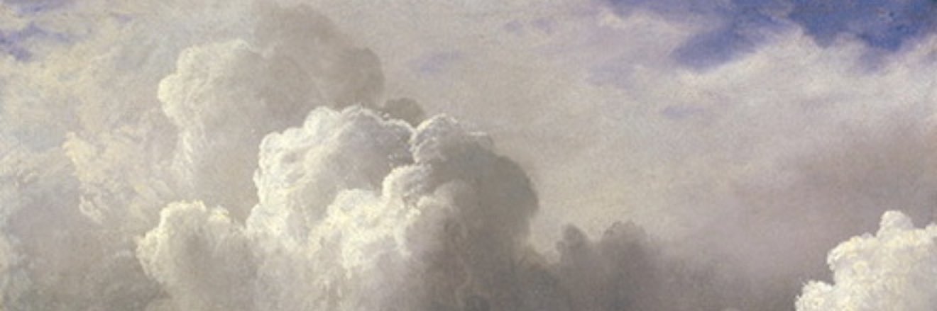 Stella's banner