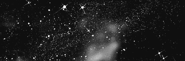 Dianeofroses's banner