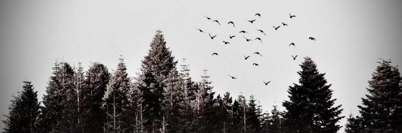 عــاديِ .'s banner