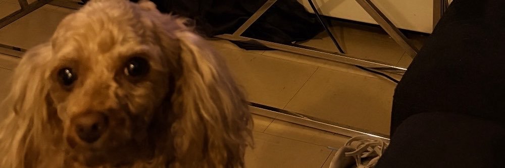 Amara Minaj✧₊⁺'s banner