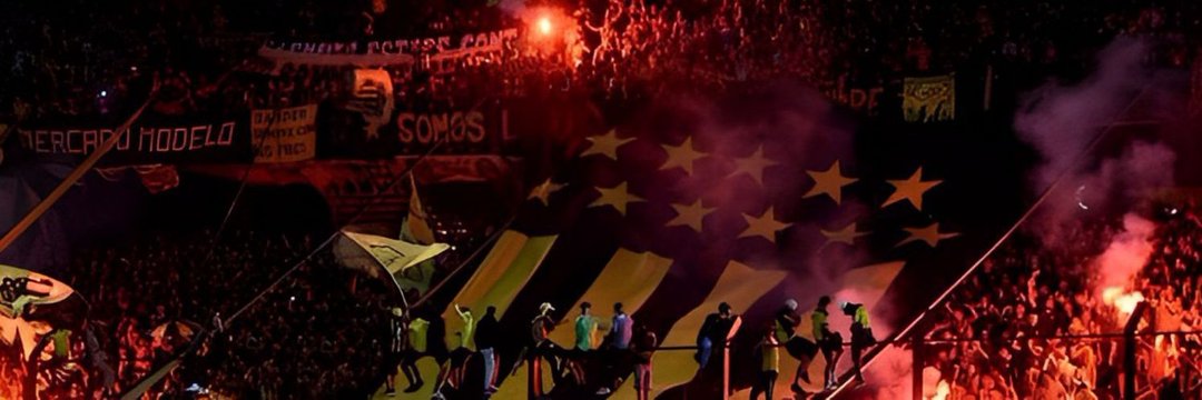n a i g's banner